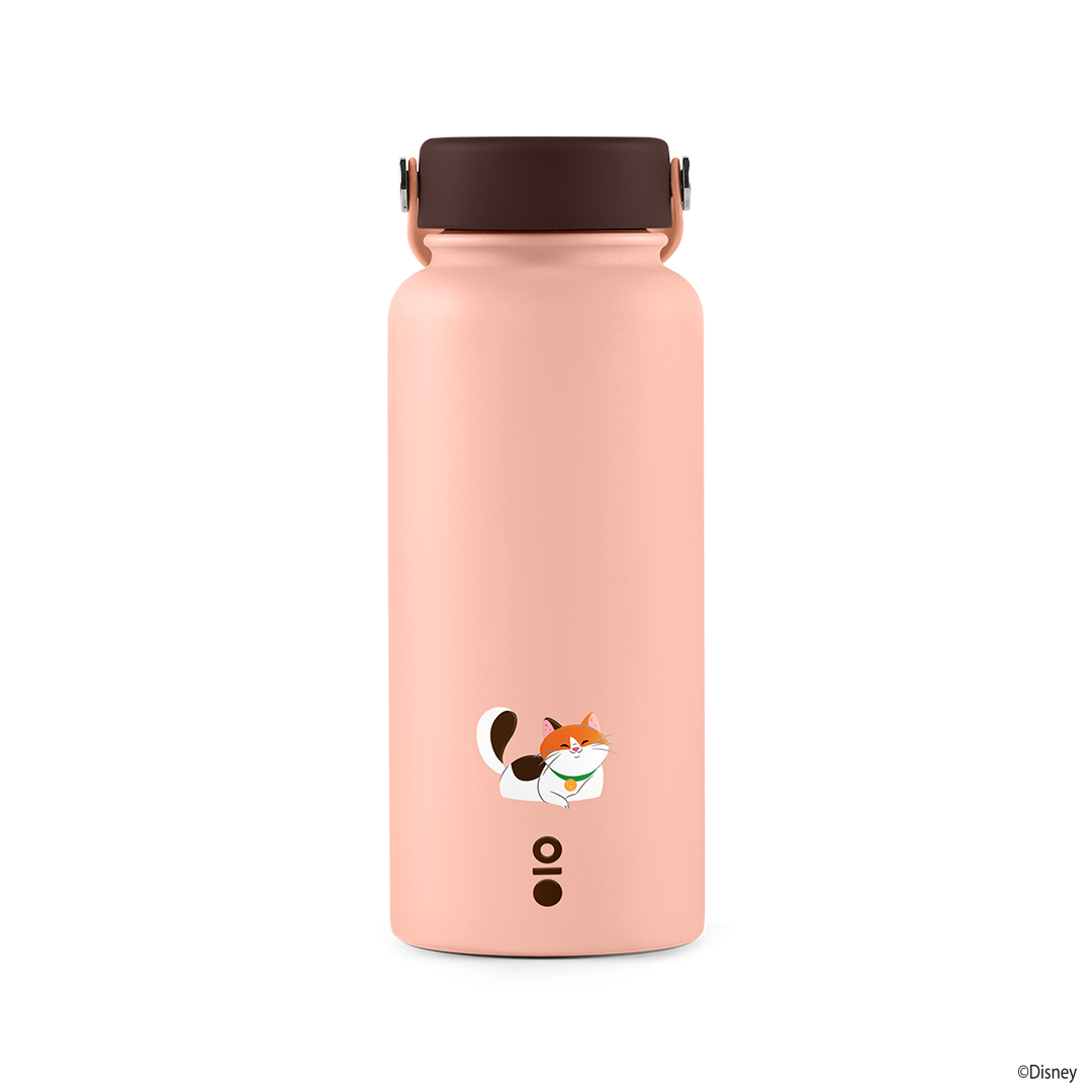 Disney Cats Ace Bottle Mega กระบอกน้ำเก็บความร้อน-เย็น
